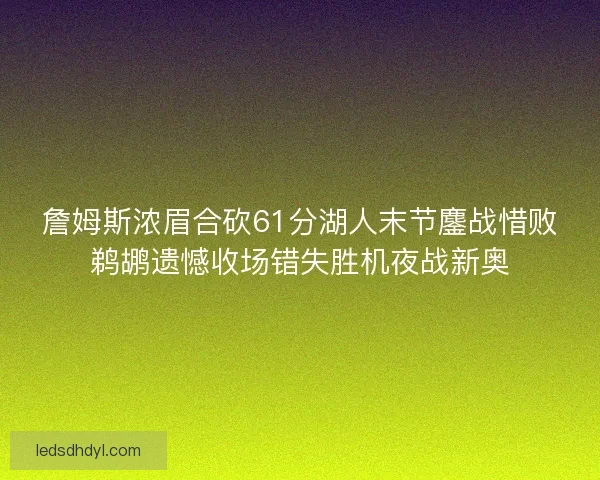 詹姆斯浓眉合砍61分湖人末节鏖战惜败鹈鹕遗憾收场错失胜机夜战新奥